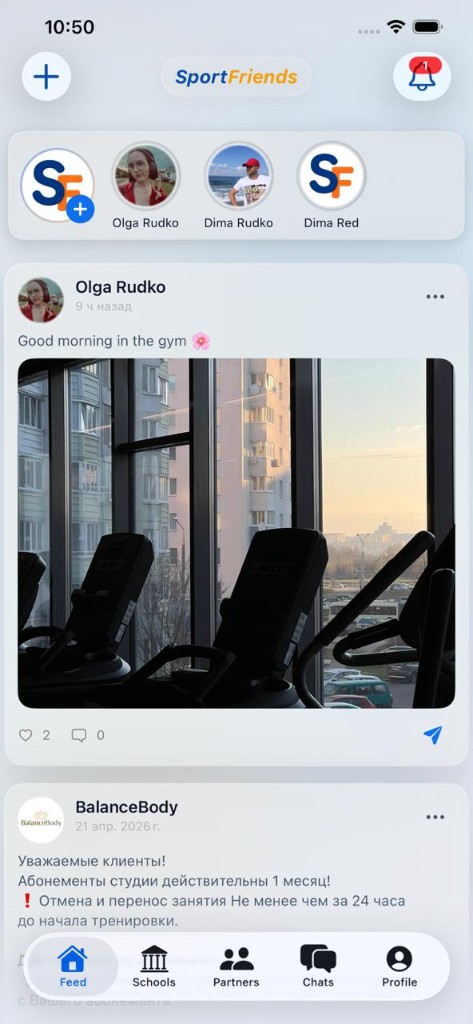 Social feed and stories